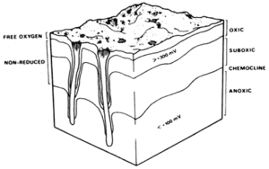 thumbnail of dbpedia resource