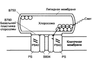 thumbnail of dbpedia resource