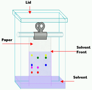 thumbnail of dbpedia resource