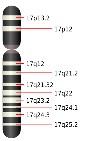 thumbnail of dbpedia resource