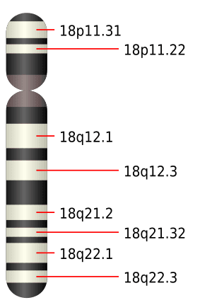 thumbnail of dbpedia resource