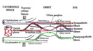 thumbnail of dbpedia resource