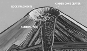 thumbnail of dbpedia resource