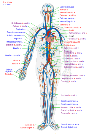 thumbnail of dbpedia resource