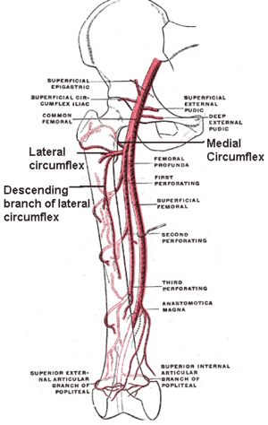 thumbnail of dbpedia resource