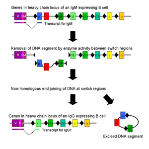 thumbnail of dbpedia resource