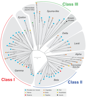 thumbnail of dbpedia resource