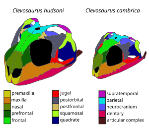 thumbnail of dbpedia resource