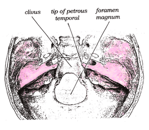 thumbnail of dbpedia resource