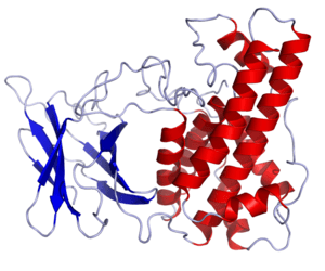 thumbnail of dbpedia resource