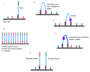 thumbnail of dbpedia resource