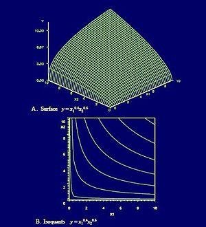 thumbnail of dbpedia resource