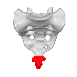 thumbnail of dbpedia resource