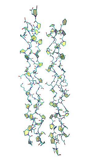 thumbnail of dbpedia resource