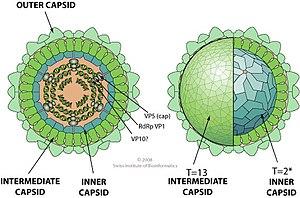 thumbnail of dbpedia resource