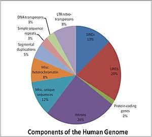 thumbnail of dbpedia resource