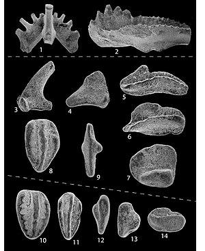 thumbnail of dbpedia resource