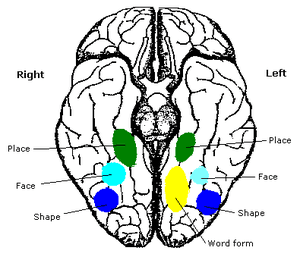 thumbnail of dbpedia resource