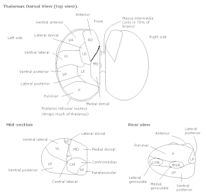 thumbnail of dbpedia resource