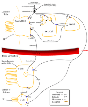 thumbnail of dbpedia resource