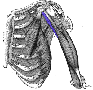 thumbnail of dbpedia resource