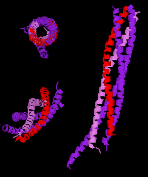 thumbnail of dbpedia resource