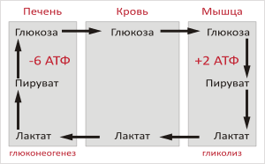 thumbnail of dbpedia resource