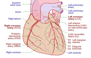 thumbnail of dbpedia resource