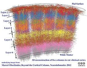 thumbnail of dbpedia resource