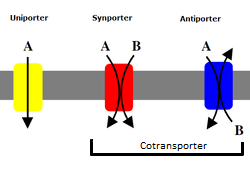 thumbnail of dbpedia resource