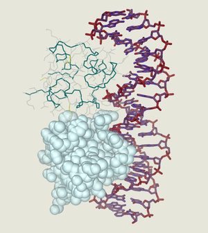 thumbnail of dbpedia resource