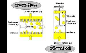 thumbnail of dbpedia resource