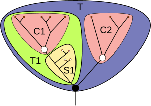 thumbnail of dbpedia resource