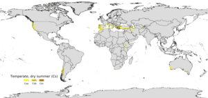 thumbnail of dbpedia resource