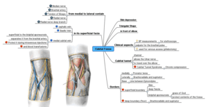 thumbnail of dbpedia resource