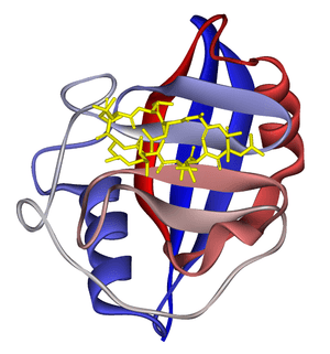 thumbnail of dbpedia resource