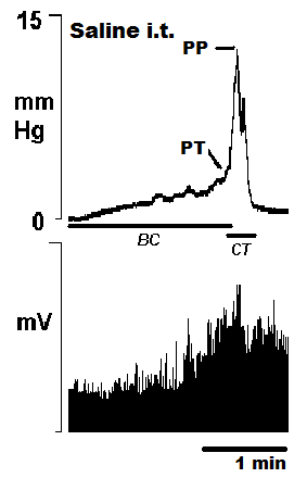 thumbnail of dbpedia resource