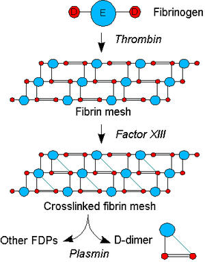 thumbnail of dbpedia resource