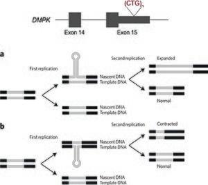 thumbnail of dbpedia resource