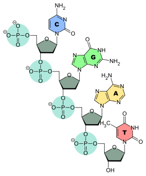 thumbnail of dbpedia resource