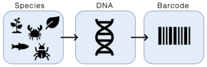 thumbnail of dbpedia resource