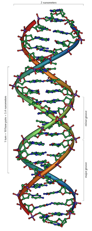 thumbnail of dbpedia resource