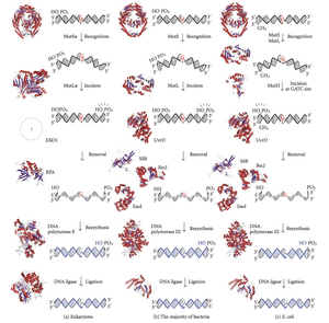 thumbnail of dbpedia resource