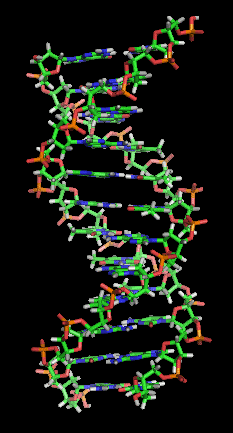 thumbnail of dbpedia resource