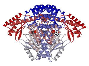 thumbnail of dbpedia resource