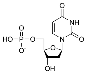 thumbnail of dbpedia resource