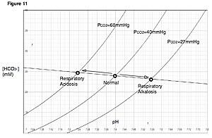 thumbnail of dbpedia resource