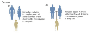 thumbnail of dbpedia resource