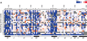 thumbnail of dbpedia resource