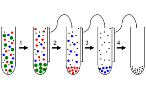 thumbnail of dbpedia resource